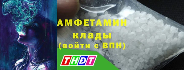 мдпв Бородино