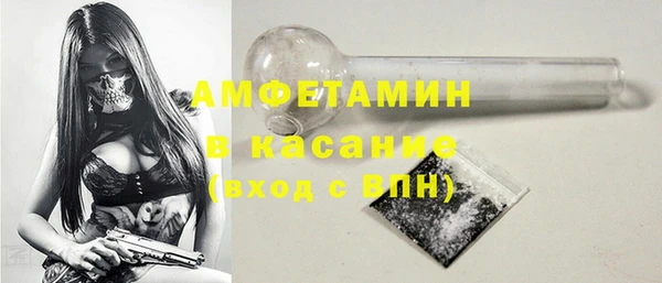 шишки Белокуриха