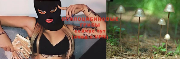 шишки Белокуриха