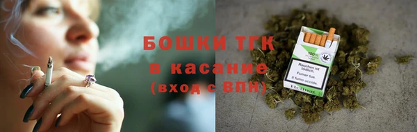 шишки Белокуриха