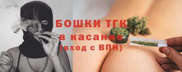 шишки Белокуриха