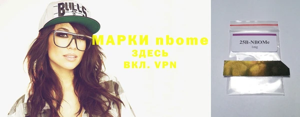 шишки Белокуриха