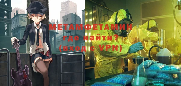 шишки Белокуриха