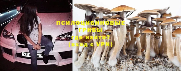 бошки Беломорск