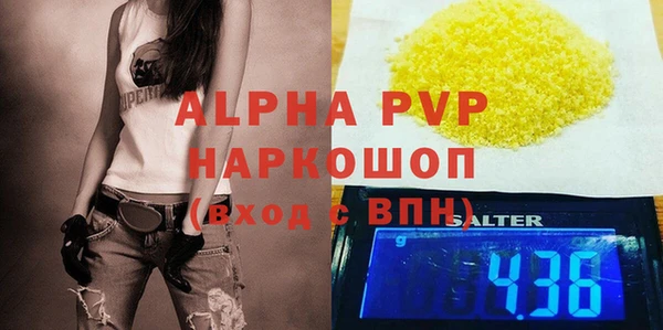 шишки Белокуриха