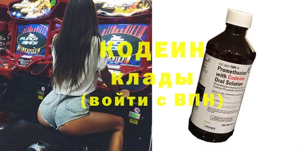шишки Белокуриха