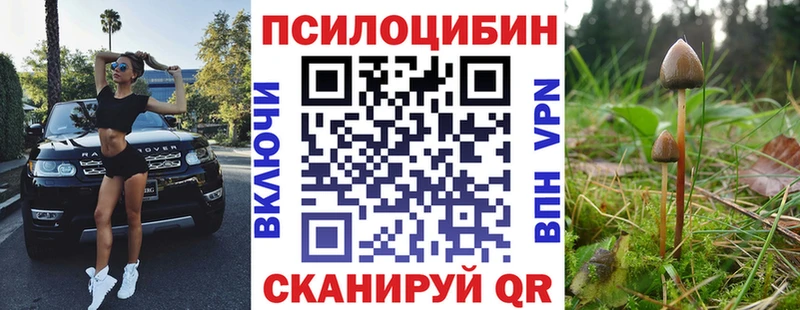Купить закладки Сухой Лог Галлюциногенные грибы прущие грибы